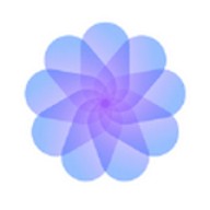 野花日本完整视频