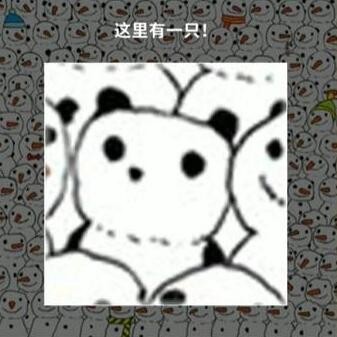 《看不见的真相》寻找熊猫通关攻略一览-寻找熊猫怎么过