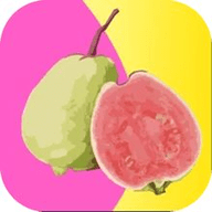 抖抈短视频app2025新版