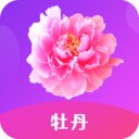 夜爱直播软件在线下载