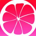 红颜直播最新苹果版