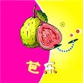 麻花传剧手机版免费下载
