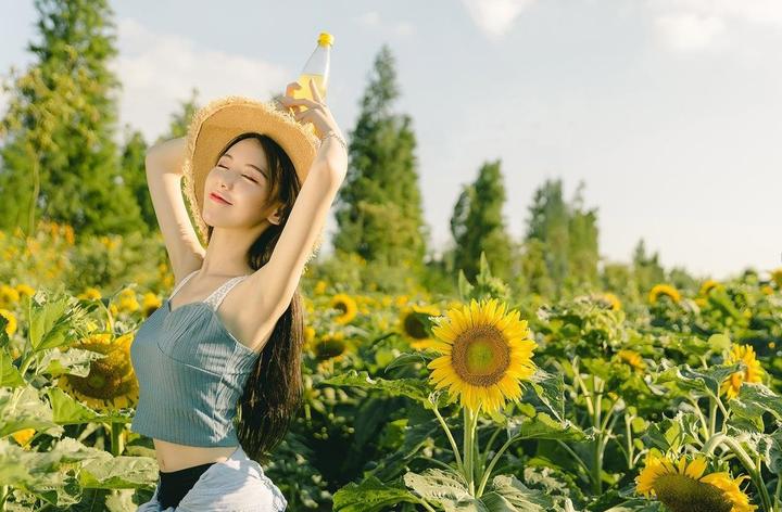 欧美肥妇的社会接纳度