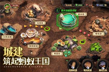 小小蚁国真实蚂蚁世界(The Ants)1